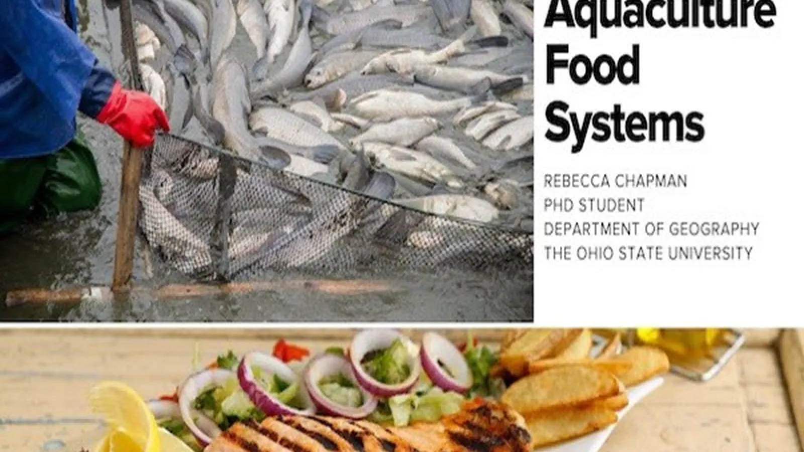 Aquaculture food systems