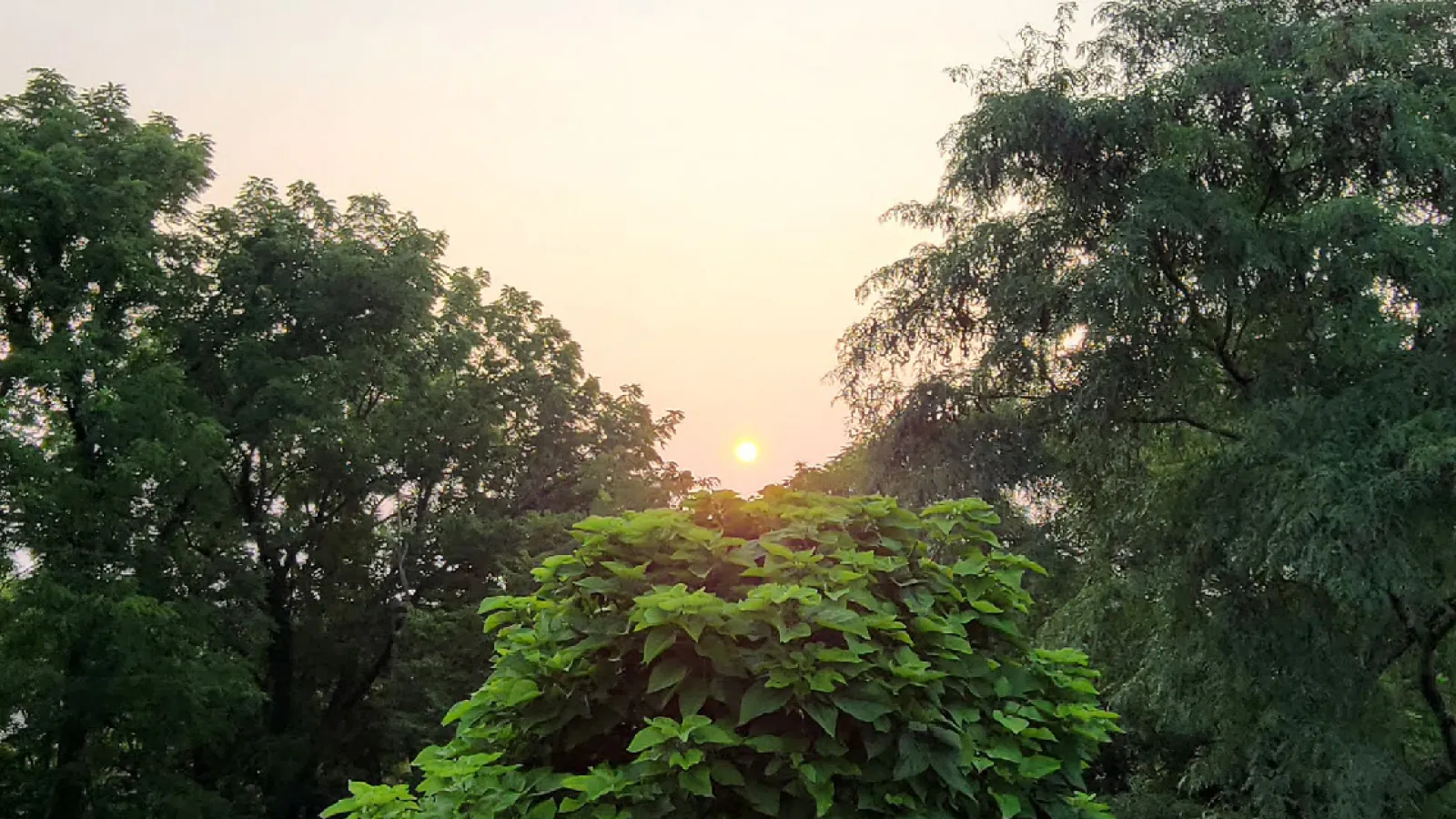 Orange ohio sunrise due to canadian wild fire smoke in atm