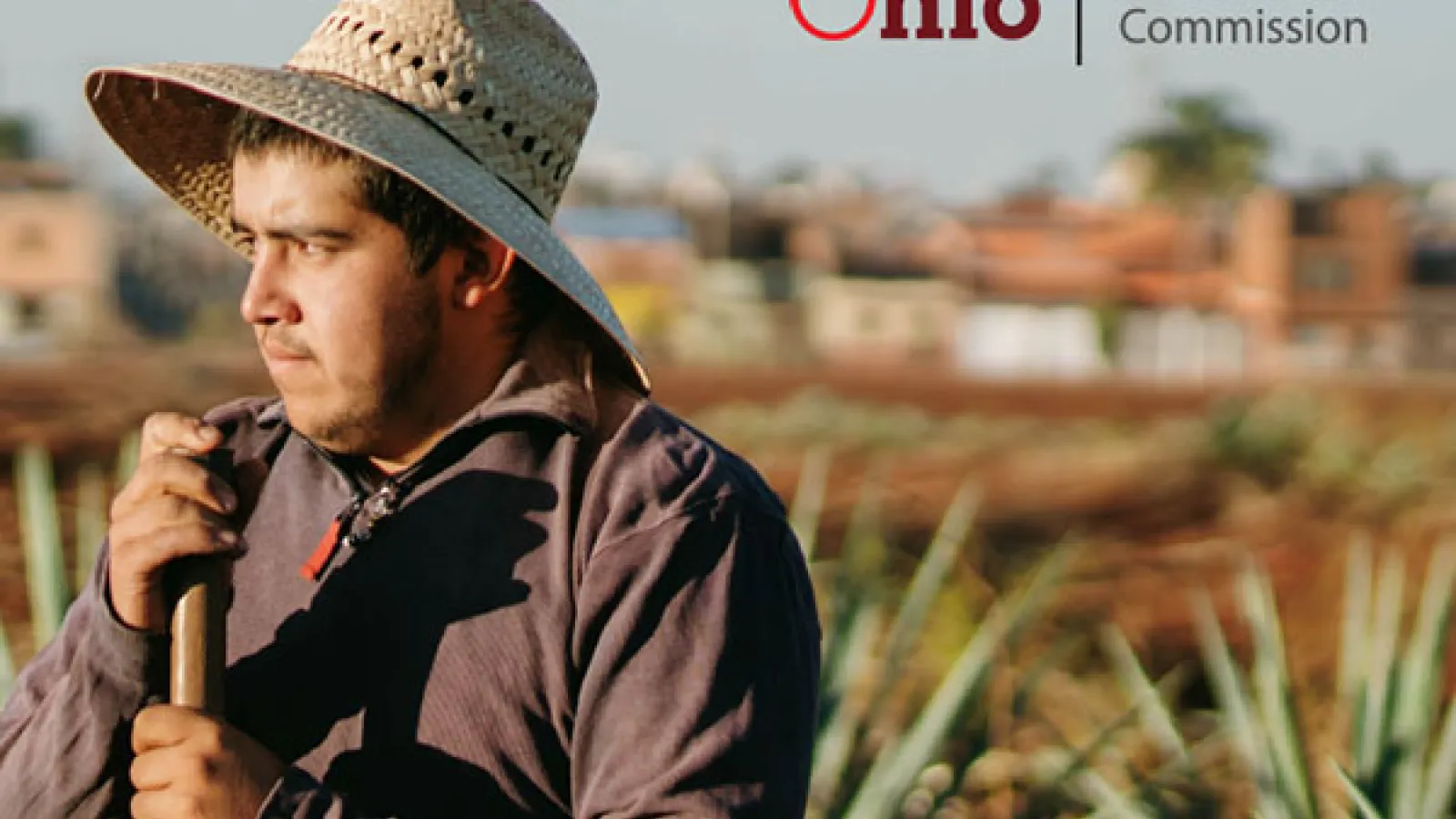 LATINO Affairs Commission Farmer in a field