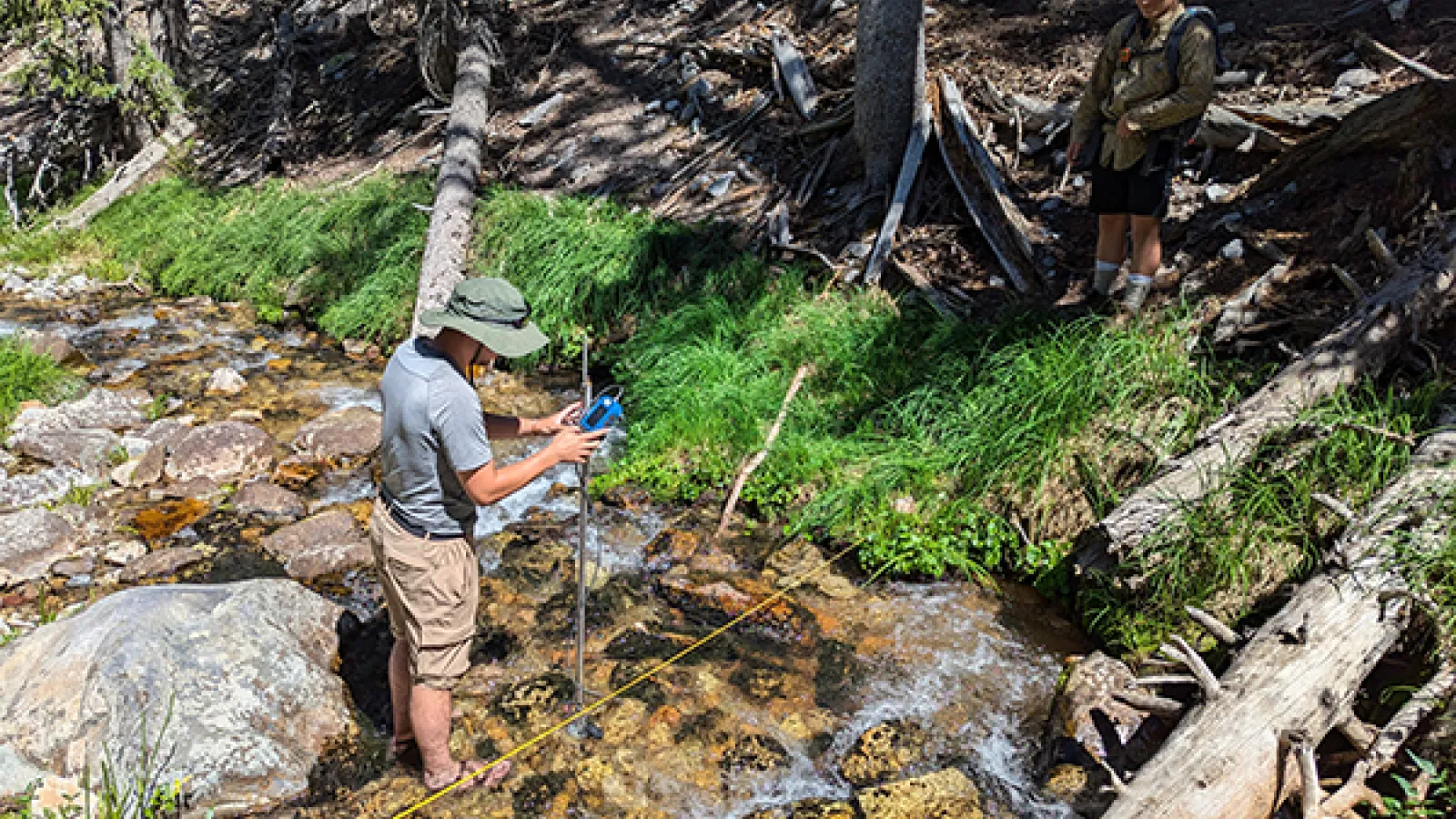 Taking water samples in stream during GBEX