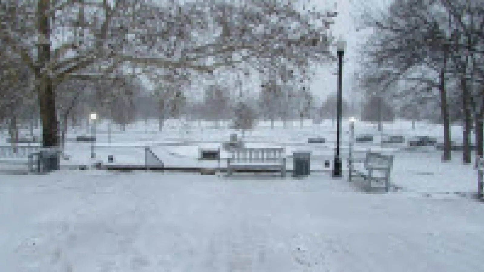 park of roses winterscape