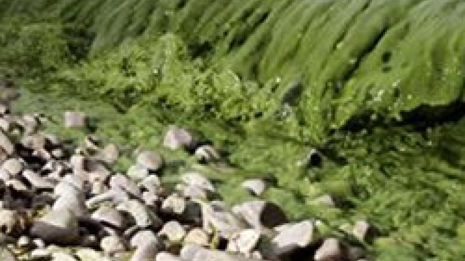 Effects of climate change in Ohio