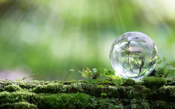 Stock photo - soil and water droplet